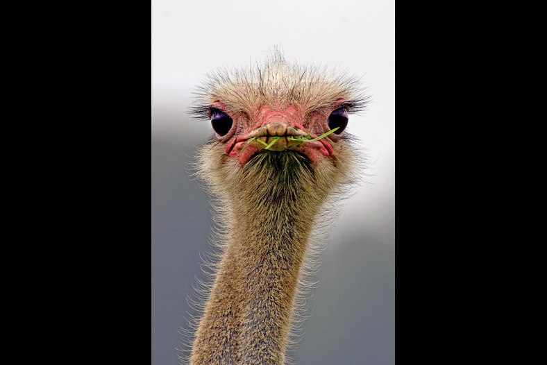 Who you looking at ????
